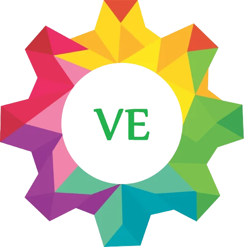 VISION EXIM Logo